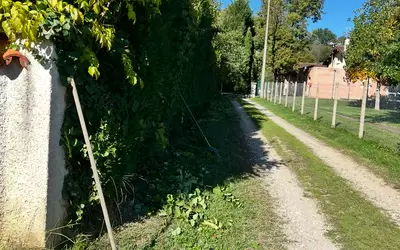 Castres (81100)