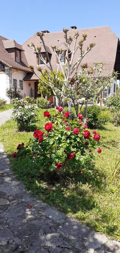 Vente maison 6 pièces Pau (64000)