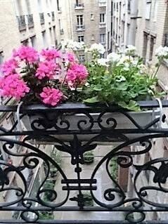 Paris 15E (75015)