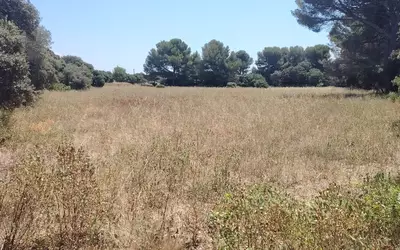 Istres (13118)