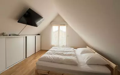 Maisons-Alfort (94700)