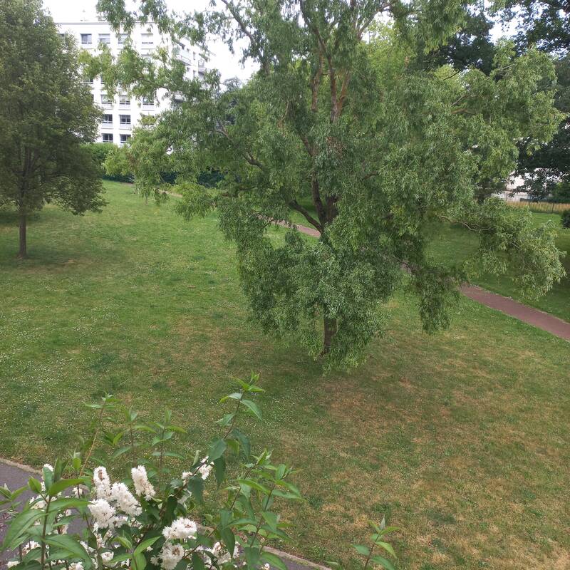 Garches (92380)