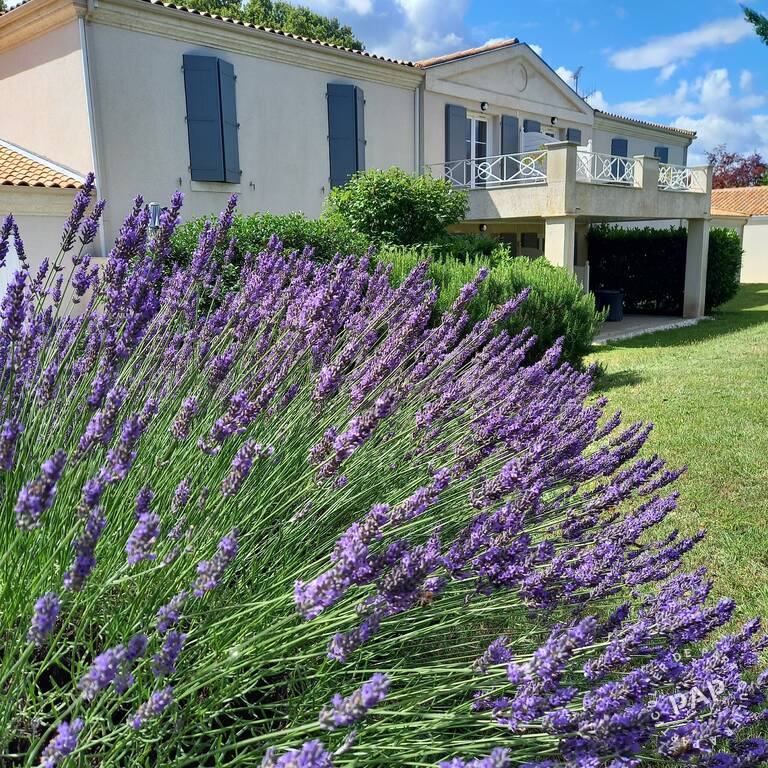 Vente immeuble 1.000 m² Châteaubernard (16100)