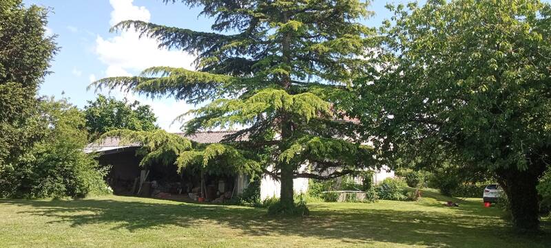 Archigny (86210)