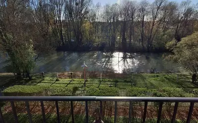 Champigny-Sur-Marne (94500)