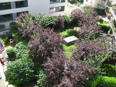 Location appartement 5 pièces Montrouge (92120)
