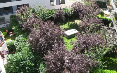 Montrouge (92120)