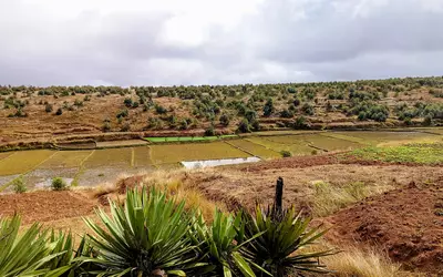 Madagascar