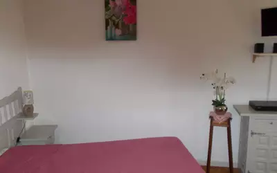 Amélie-Les-Bains-Palalda (66110)