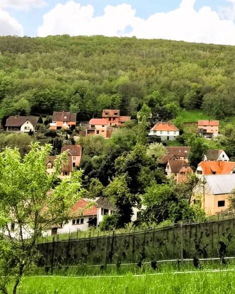 Reichsfeld (67140)