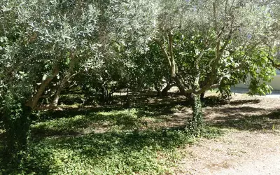 Caromb (84330)