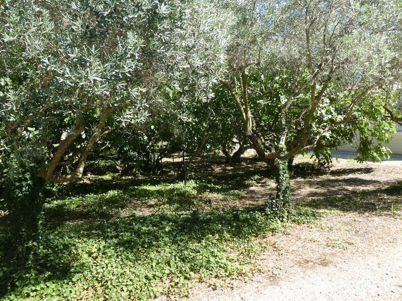 Caromb (84330)