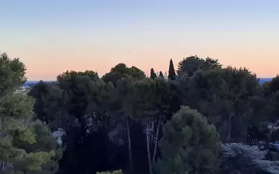 Cannes 06150 - Domaine Des Palmiers-