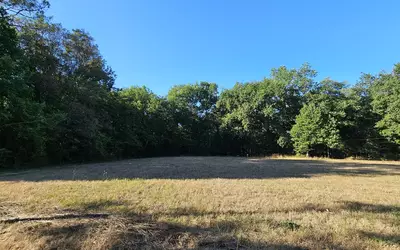 Savignac-De-Duras (47120)