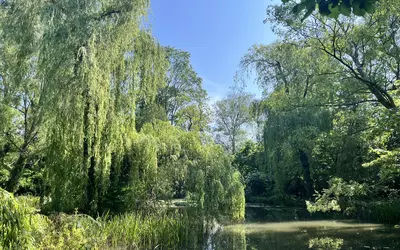 Maidières (54700)