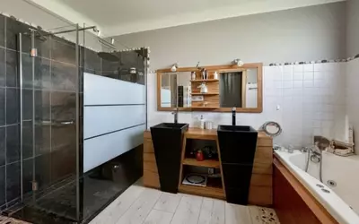 Habas (40290)