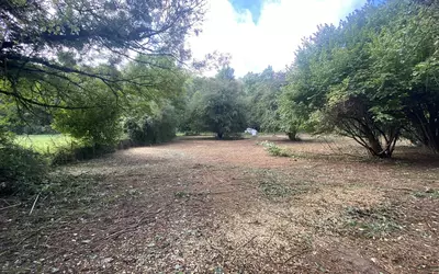 Vallangoujard (95810)