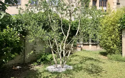 Rosny-Sous-Bois (93110)