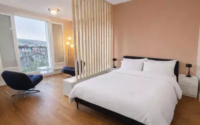 Clermont-Ferrand (63000)