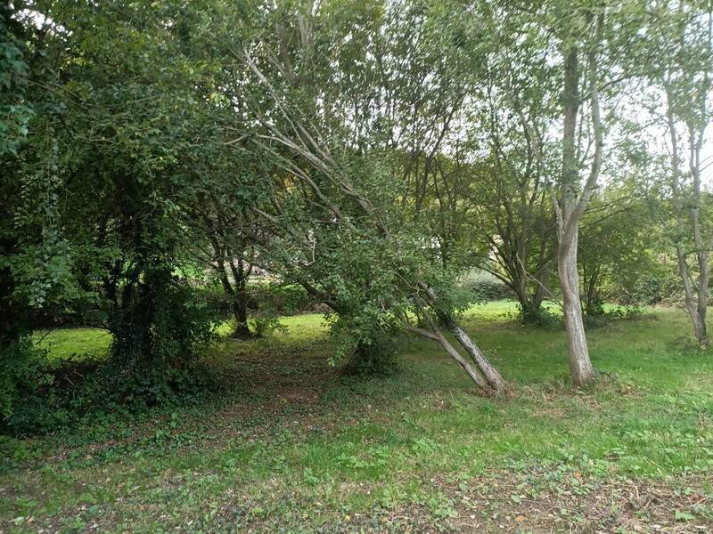 Sassetot-Le-Mauconduit (76540)