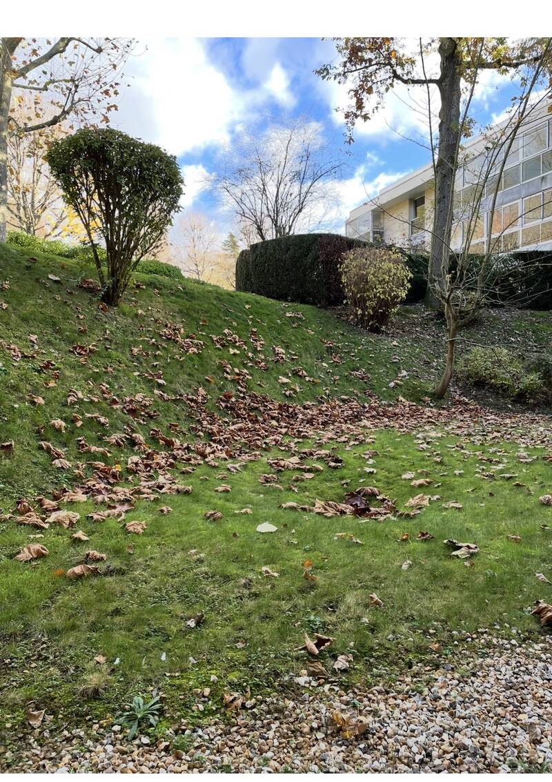 Le Chesnay-Rocquencourt (78150)