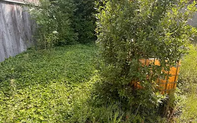Poulainville (80260)