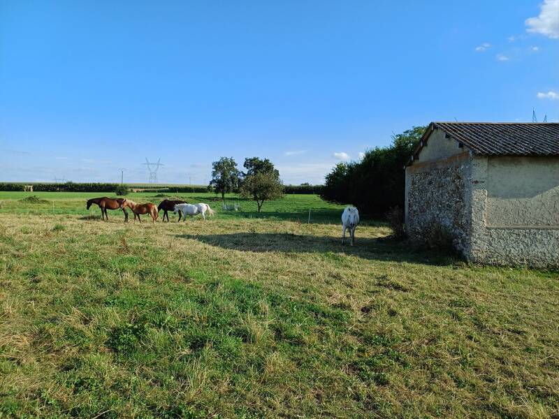 Les Essarts-Le-Vicomte (51310)