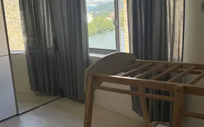 Millau (12100)