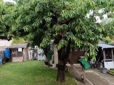 Vente maison 6 pièces Savigny-sur-Orge (91600)