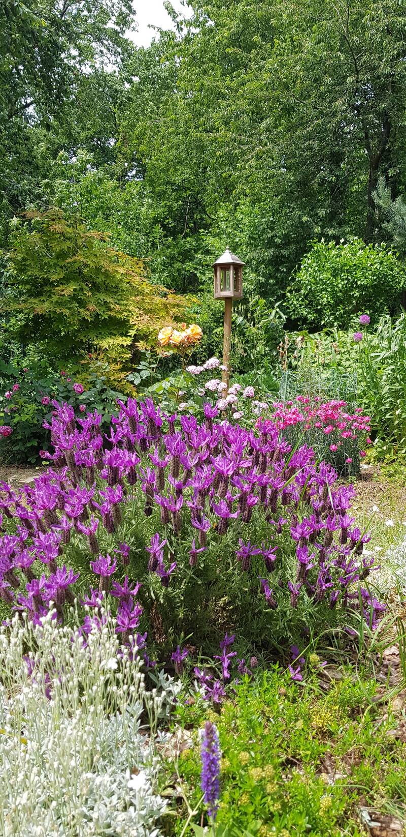 Saulx-Les-Chartreux (91160)