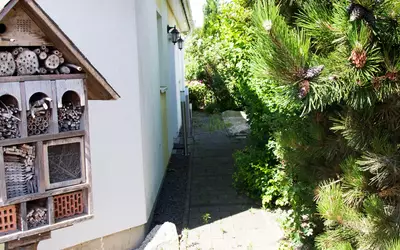 Bilwisheim (67170)