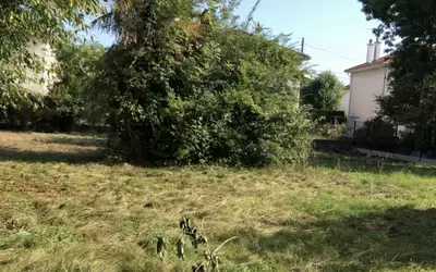 Tarbes (65000)
