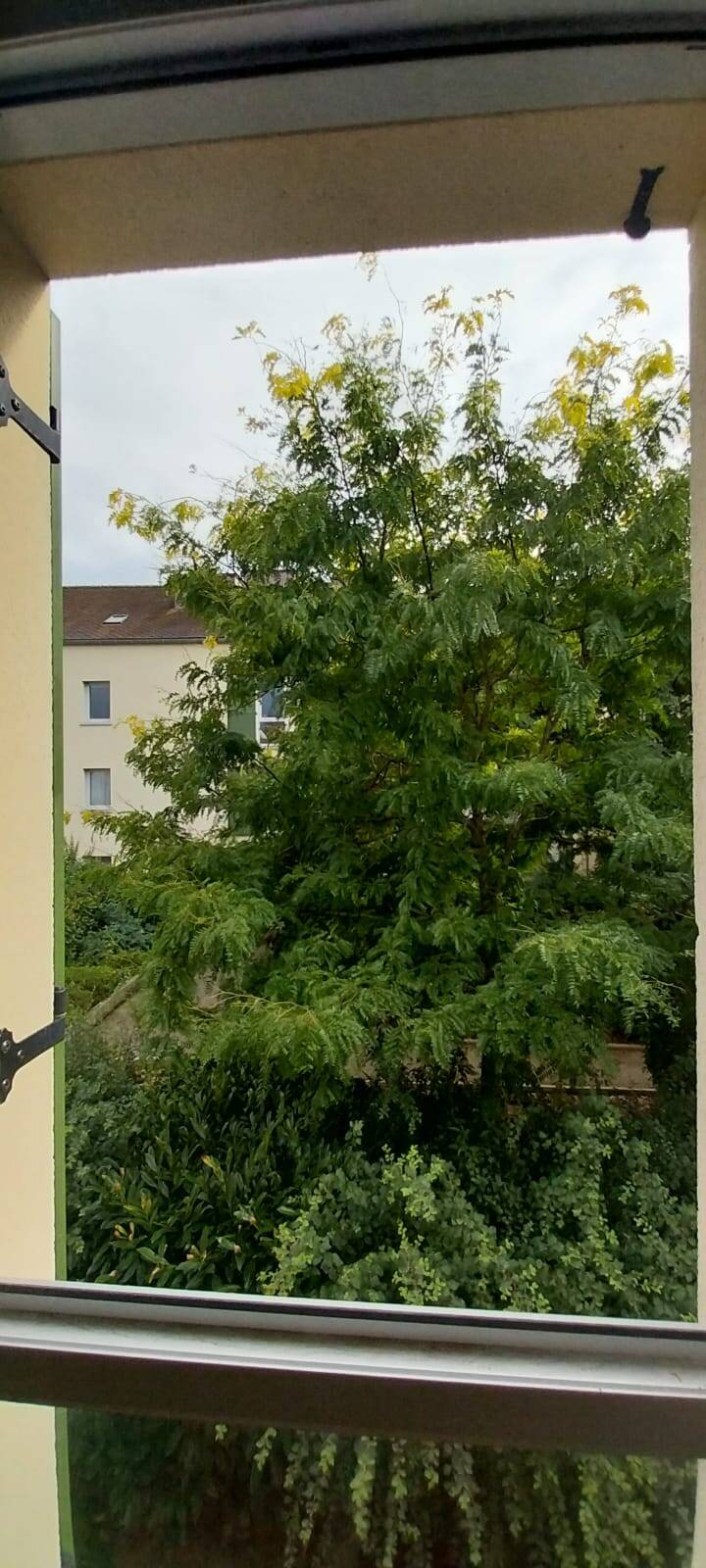 Rambouillet (78120)