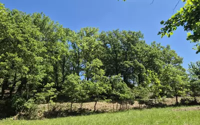 Entrechaux (84340)