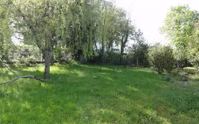 Nontron (24300)