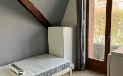 Lille (59000)