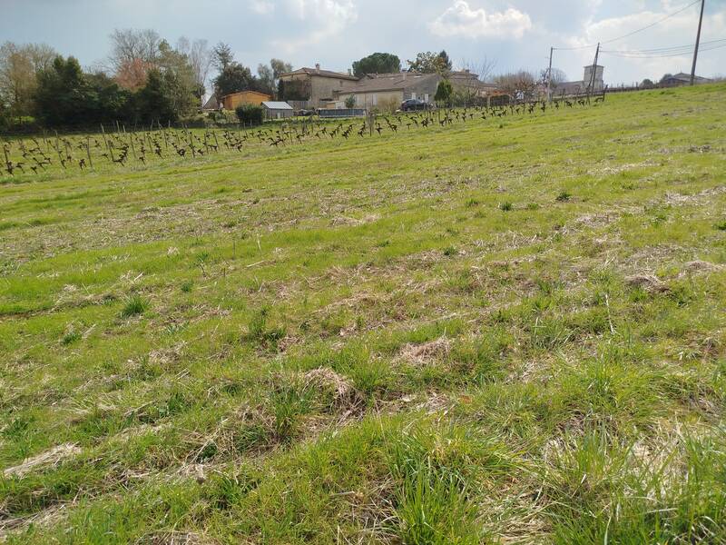 Nérigean (33750)