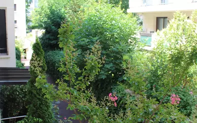 Neuilly-Sur-Seine (92200)