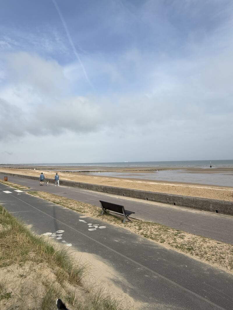 Cabourg (14390)