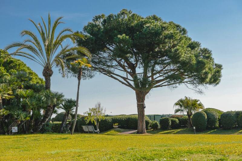 Villeneuve-Loubet (06270)
