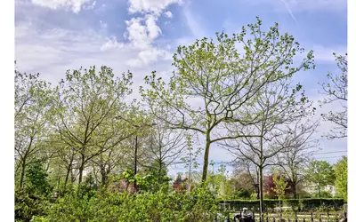 Paris 16E (75016)