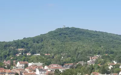 Metz (57000)