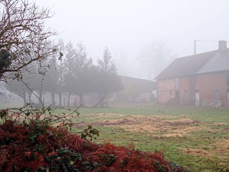 Lonlay-Le-Tesson (61600)
