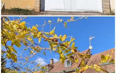Saint-Germain-Laval (77130)