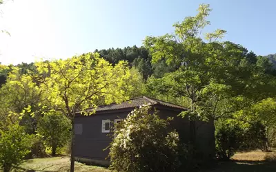 Gravières (07140)