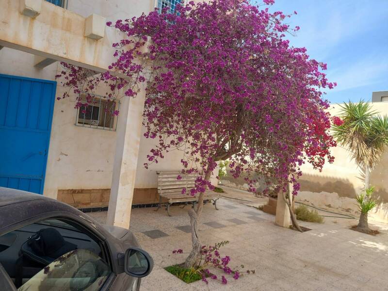 Tunisie