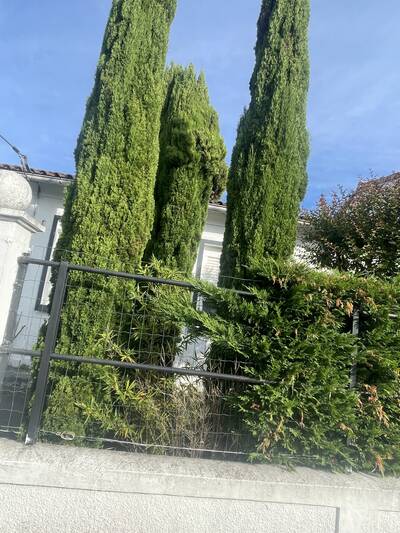 Vente maison 5 pièces Le Bouscat (33110)