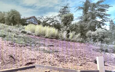 Terrain Couzon-Au-Mont-D'or · 249 000 €