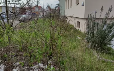 Haguenau (67500)