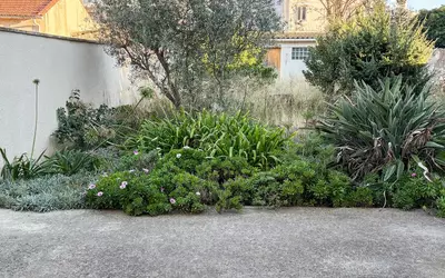 Palavas-Les-Flots (34250)